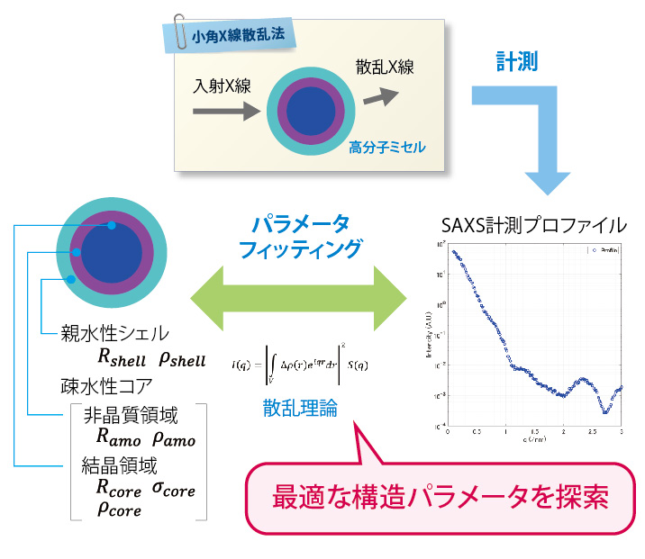 高分子ミセルの分析事例