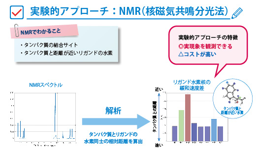 NMR（核磁気共鳴分光法）