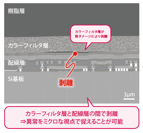 異常箇所の電子顕微鏡画像(断面)