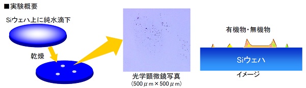 実験概要