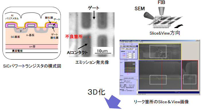 Slice&View SEM Image