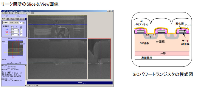 Slice&View SEM Image,SEM image of the fracture location