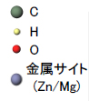 分子