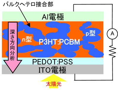 バルクへテロ接合型太陽電池模式図
