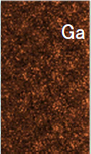 Ga