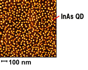 ��2-1���̻ҥɥåȤ�AFM����̩��6x1010cm-2