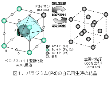 図1.パラジウム(Pd)の自己再生時の結晶